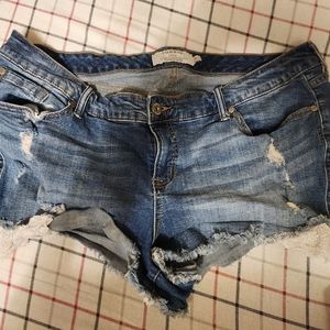 Torrid denim shorts